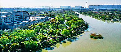 常州市-天宁区-横塘河湿地公园