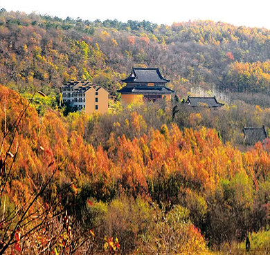 淮安市-盱眙县-铁山寺（天文科普园·铁山寺国家森林公园）风景旅游区|4A