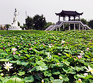 南通市-如皋市-城北街道-平园池村