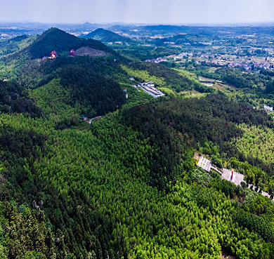 南京市-高淳区-漆桥镇-游子山（真如寺·游子山国家森林公园）风景旅游区|4A