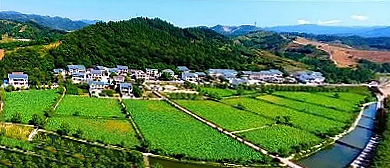 商洛市-商南县-试马镇-中国北茶小镇（万亩茶园）风景旅游区