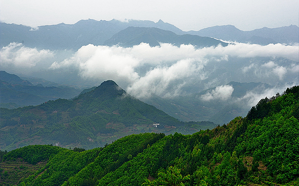 安康市-汉阴县-秦岭·凤凰山国家森林公园