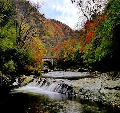 安康市-岚皋县-大巴山·千层河（千层河国家湿地公园）风景旅游区