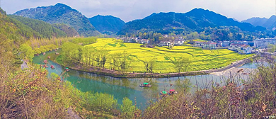 汉中市-勉县-元墩镇-龙湾村·龙湾（油菜花海）风景区