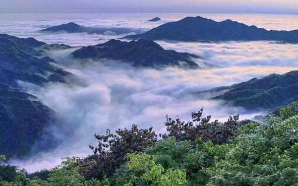 汉中市-勉县-秦岭·云雾山风景区