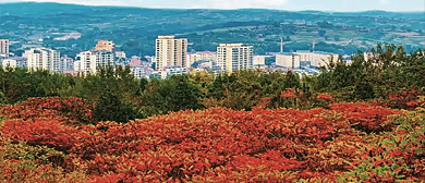 长治市-沁县-二郎山国家森林公园
