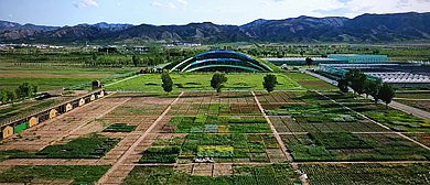 呼和浩特市-和林格尔县-蒙草草博园·风景旅游区|4A