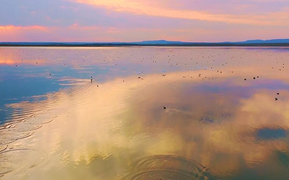 鄂尔多斯市-东胜区-泊江海子镇-鄂尔多斯遗鸥国家级自然保护区