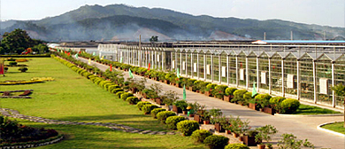 南宁市-西乡塘区-八桂田园（相思湖）风景旅游区|4A