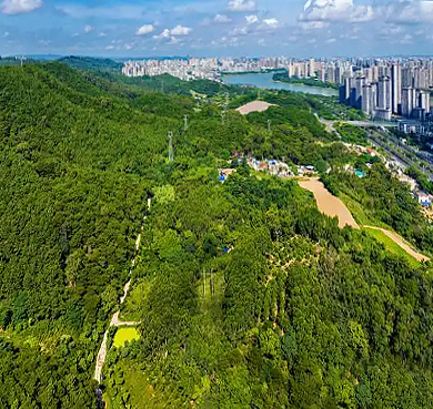 南宁市-良庆区-五象岭森林公园·风景旅游区