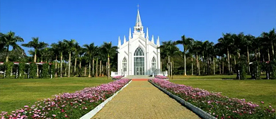 南宁市-武鸣区-双桥镇-花花大世界·风景旅游区|4A