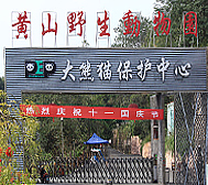 黄山市-休宁县-黄山野生动物园（大熊猫生态乐园）