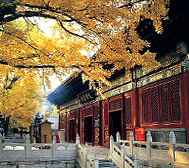 北京市-怀柔区-红螺寺风景旅游区|4A