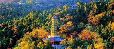 北京市-海淀区-香山公园（静宜园·|清|建筑群）·香山红叶风景旅游区|4A