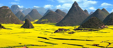 曲靖市-罗平县-金鸡岭·罗平油菜花海（罗平峰林）风景旅游区