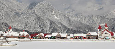 成都市-大邑县-西岭镇-西岭（西岭国家森林公园·西岭雪山国家级风景名胜区）风景旅游区|4A