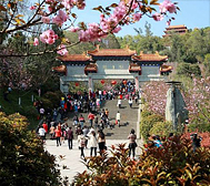 南充市-阆中市区-玉台山·滕王阁（|唐|石塔）·嘉陵江（滨江）风景旅游区