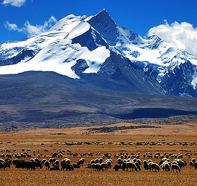 日喀则市-聂拉木县-喜马拉雅山脉·希夏邦马峰（世界第十四高峰·8012米·中国境内唯一8000米高峰）