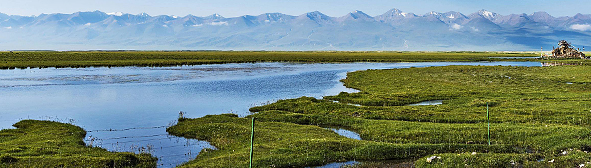 巴音郭楞州-和静县-巴音布鲁克草原湿地（天鹅湖）国家自然保护区|5A