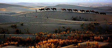 喀什地区-岳普湖县-达瓦昆国家沙漠公园（达瓦昆湖）风景旅游区|4A