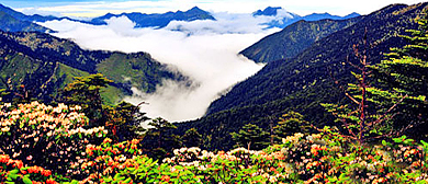 雅安市-芦山县-灵鹫山（灵鹫山寺）自然保护区