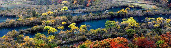 雅安市-天全县-喇叭河镇-喇叭河（大熊猫）国家级自然保护区·风景旅游区|4A