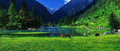 甘孜州-康定市-普沙绒乡-贡嘎山·荷花海（莲花湖）国家森林公园