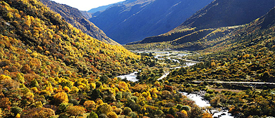 山南市-加查县-崔久乡-崔久沟风景区