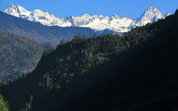 怒江州-兰坪县-老窝山（碧罗雪山主峰·4434米）自然保护区