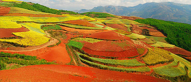 昆明市-东川区-红土地镇-东川红土地风景区