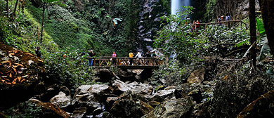 德宏州-瑞丽市-莫里峡谷（扎朵瀑布）国家热带雨林公园|4A