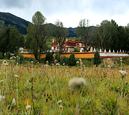 甘孜州-理塘县-甲洼乡-向阳寺