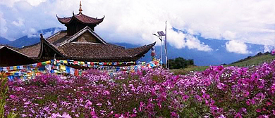 迪庆州-德钦县城-升平镇-飞来寺（梅里雪山观景台）国家森林公园