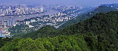 重庆市-南岸区-南山|一棵树观景台|国家森林公园