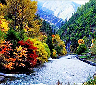 阿坝州-理县-米亚罗镇-杂谷脑河·米亚罗风景旅游区