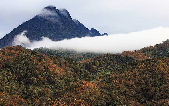五指山市-五指山|热带雨林|国家级自然保护区