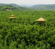 肇庆市-广宁县-竹海大观（广宁竹海国家森林公园）风景旅游区