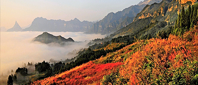 重庆市-南川区-金佛山（金佛山国家森林公园·金佛山国家级风景名胜区·金佛山国家级自然保护区）风景旅游区|5A