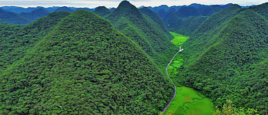 黔南州-荔波县-茂兰镇-茂兰（荔波喀斯特森林）国家级自然保护区