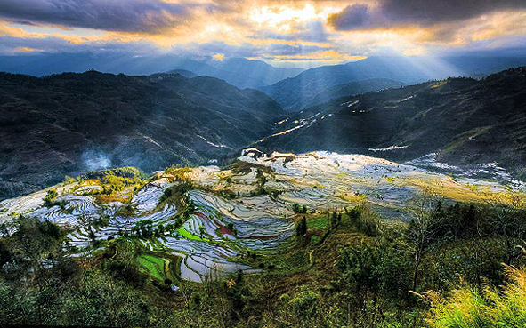 红河州-元阳县-元阳梯田（|唐-共|红河哈尼梯田·红河哈尼梯田国家湿地公园）风景旅游区|4A