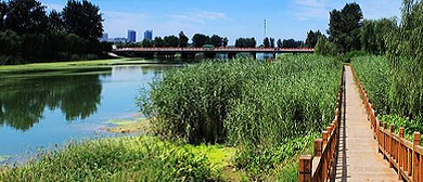天津市-武清区-大运河郊野公园·(大运河·北运河)风景区