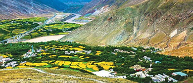 拉萨市-尼木县-吞巴乡-吞达村（吞巴藏香古村）尼木国家森林公园